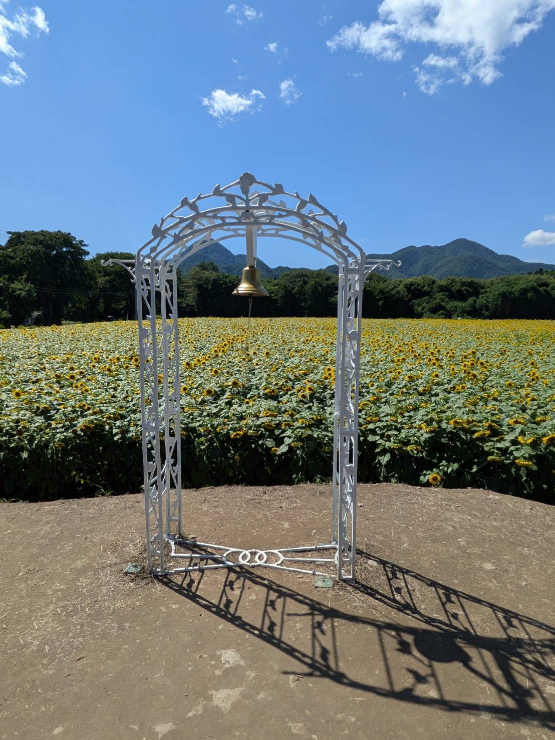 またひとつ夏が終わりますね。